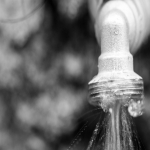 Specialist Drain Clearances 6